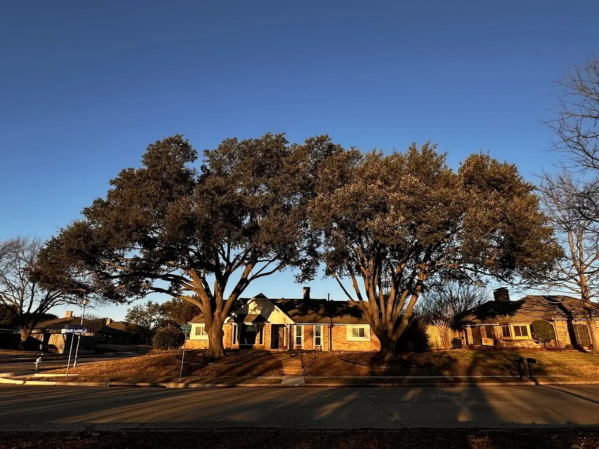 Established residential canopy tree shading a home in Goldendale