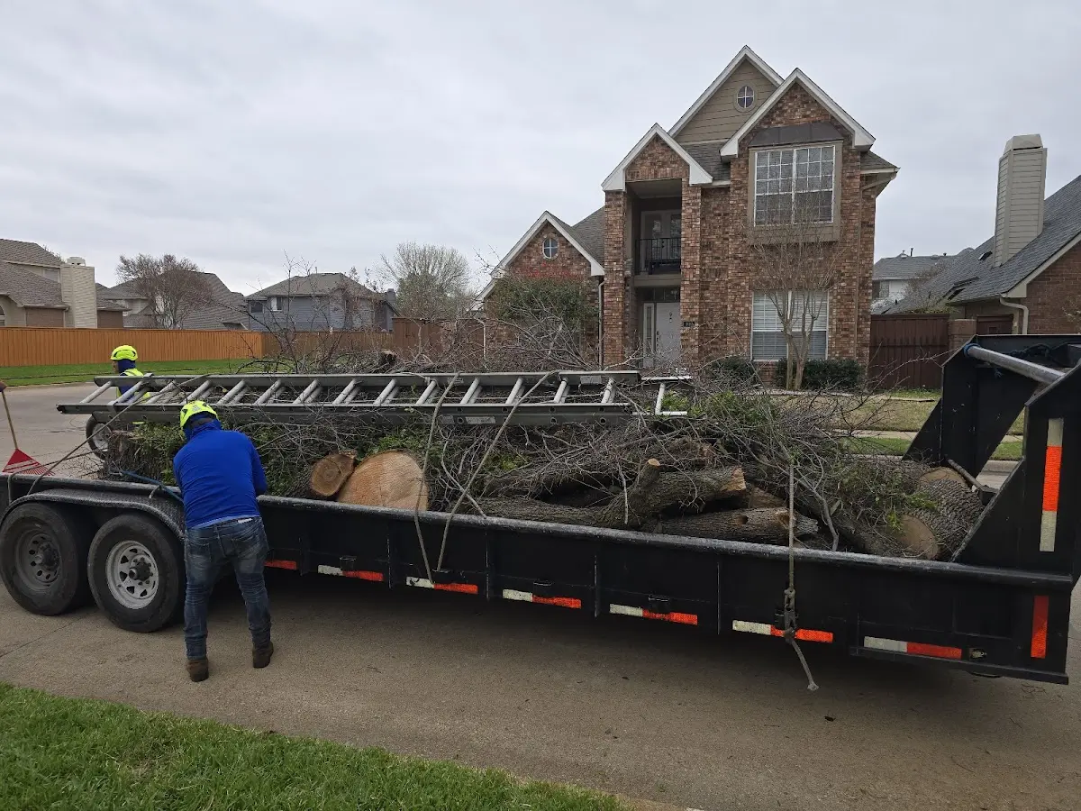 Expert Tree Fertilization with proper safety equipment in Goldendale